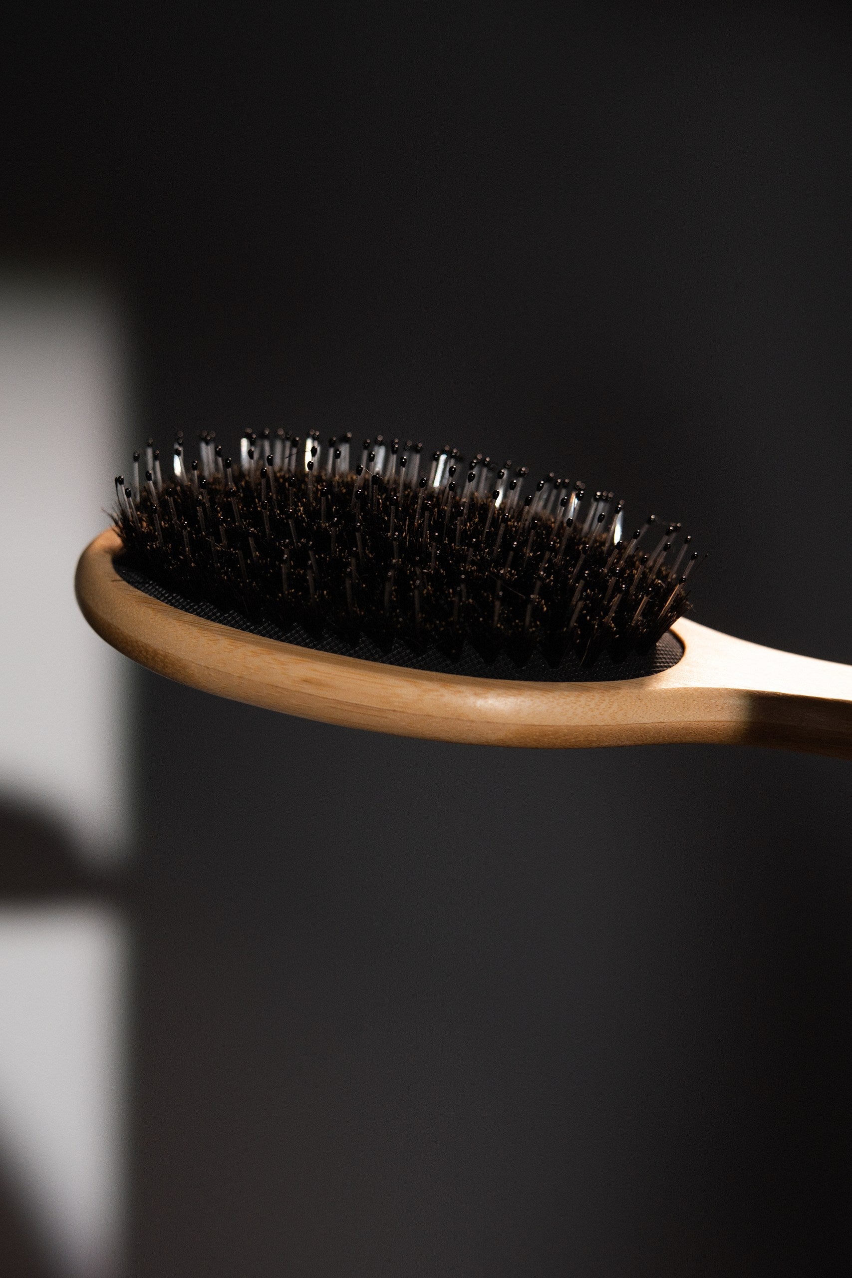 THE BRUSH