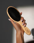 THE BRUSH